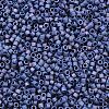 MIYUKI Delica Beads X-SEED-J020-DB2319-2