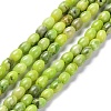 Natural Quartz Beads Strands G-C034-04B-1