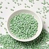 8/0 Opaque Colours Seep Glass Seed Beads SEED-F003-04B-06-2