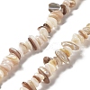 Natural Freshwater Shell Beads Strands G-M205-85B-1
