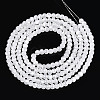 Baking Paint Glass Beads Strands DGLA-N015-6mm-M-3