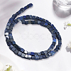 2 Strands Natural Lapis Lazuli Beads Strands G-PA0001-78-6