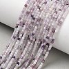 Natural Lepidolite Stone Beads Strands G-RM241221-K14-1