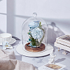 Glass Cloche Dome Covers AJEW-WH0460-033B-2