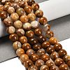 Natural Wood Lace Stone Beads Strands G-B128-A04-04-2