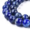 Natural Lapis Lazuli Beads Strands G-E465-8mm-01-6