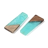 Resin & Wood Pendants WOOD-F015-04E-2
