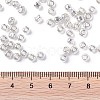 6/0 Glass Seed Beads X1-SEED-A017-4mm-1109-3