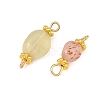 Natural Gemstone Beaded Connector Charms PALLOY-JF06057-2