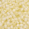 Glass Seed Beads SEED-A032-05I-3