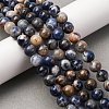 Natural Sodalite Beads Strands G-D481-12B-6