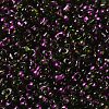 Spray Painted Glass Seed Beads SEED-F005-07A-03-3
