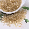 MIYUKI Delica Beads X-SEED-J020-DB0101-1