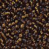 6/0 Glass Seed Beads SEED-A005-4mm-53-2