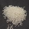 6/0 Transparent Glass Round Seed Beads X-SEED-J010-F6-21-2