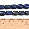 Natural Lapis Lazuli Beads Strands G-H319-A01-02-5