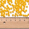 TOHO 6/0 Round Beads X-SEED-TR06-0042BF-3