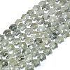 Natural Labradorite Beads Strands G-P573-C07-01-2