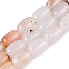 Natural Agate Beads Strands G-N356-02B-13-1