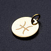 201 Stainless Steel Charms STAS-T049-T644-12G-2