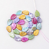 Natural Freshwater Shell Beads X-SHEL-Q008-05-2