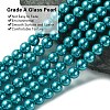 Eco-Friendly Dyed  Glass Pearl Round Bead Strands HY-A002-8mm-RB073-3