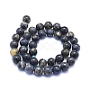 Natural Iolite Beads Strands G-E561-16-10mm-3