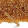 TOHO 6/0 Round Beads SEED-TR06-0022B-2
