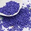 Baking Paint Glass Seed Beads X-SEED-S042-05B-74-1