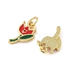 Brass Enamel Charms KK-C110-17C-01G-2
