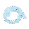 Transparent Glass Enamel Beads Strands GLAA-B021-05G-2