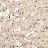 MIYUKI Quarter TILA Beads X-SEED-J020-QTL592-2