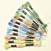6-Ply Polyester Embroidery Floss OCOR-FZ0001-01F-8