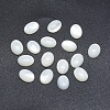 Shell Cabochons SSHEL-P015-59F-1