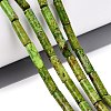 Dyed Natural Imperial Jasper Beads Strands G-H087-H01-01B-1