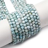 Natural Larimar Beads Strands G-F803-C01-02-2