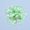 Plastic Candy Sequins/Paillette Chip DIY-I019-02J-2