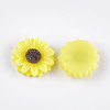 Resin Cabochons CRES-T010-60J-2