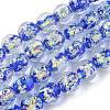 Handmade Foil Lampwork Beads Strands FOIL-K003-06B-24-1