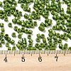 Baking Paint Glass Seed Beads SEED-S042-05A-21-4