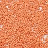 Baking Paint Glass Seed Beads X-SEED-S042-05B-83-3