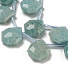 Natural Amazonite Beads Strands G-P544-C07-01-3