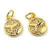 Rack Plating Brass Micro Pave Cubic Zirconia Charms KK-D036-04G-2