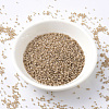 MIYUKI Delica Beads SEED-JP0008-DB1731-2