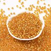 6/0 Glass Seed Beads SEED-T006-04C-04-2