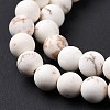Natural Magnesite Round Bead Strands G-L358-6mm-02-4