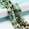 Natural Chrysoprase Beads Strands G-G057-A01-02-2
