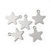Tarnish Resistant 201 Stainless Steel Pendants STAS-F192-040P-1