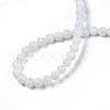 Natural Freshwater Shell Beads Strands SHEL-N003-24-5