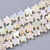 Freshwater Shell Beads Strands X-SHEL-N026-08A-1